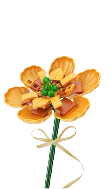 Magnolia Figo (Orange)