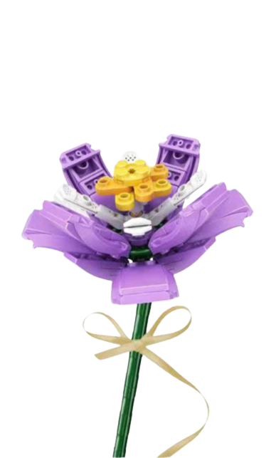 Saffron Crocus (Purple)