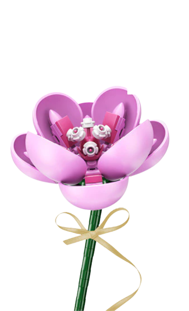 Hibiscus Syriacus (Pink)