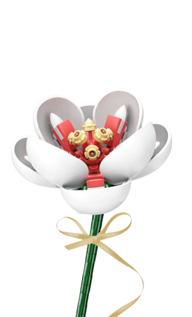 Hibiscus Syriacus (White)