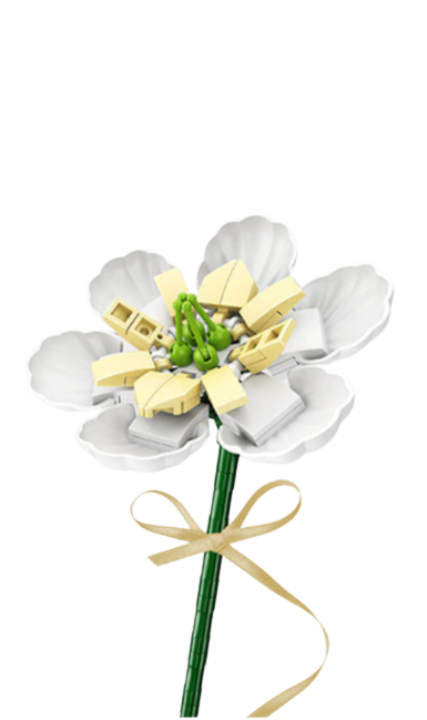 Magnolia Figo (White)