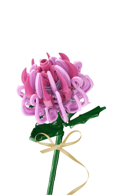 Chrysanthemum (Pink)