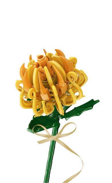 Chrysanthemum (Yellow)