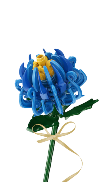 Chrysanthemum (Blue)